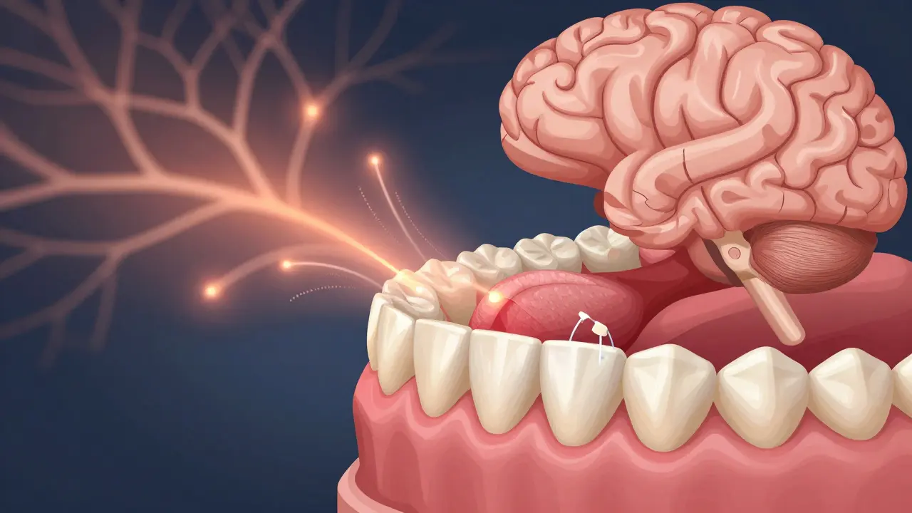 Jazyk se dotýká keramických veneers na zubech, s abstraktními signály v mozku.